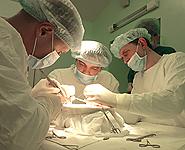 Belarus’ first pediatric heart transplant performed on 12-13 February